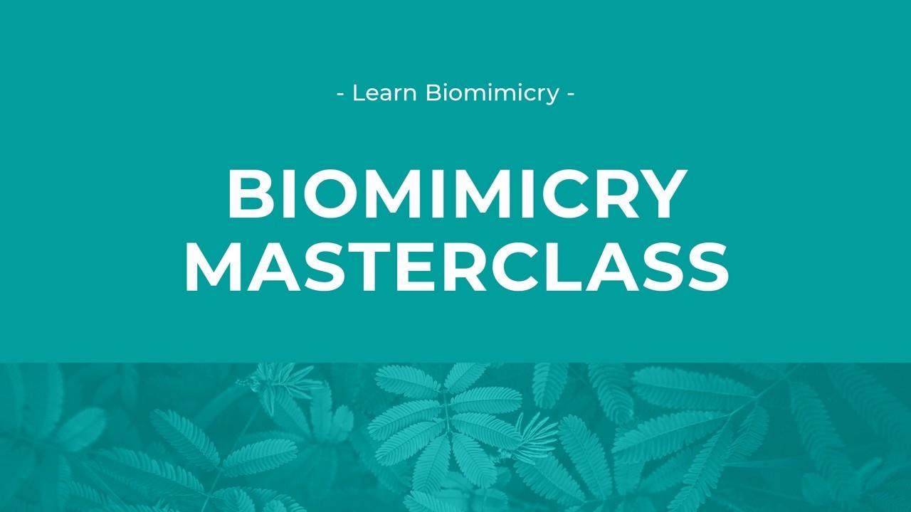 biomimicry-intro-label