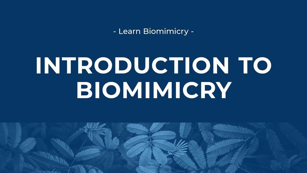 biomimicry-intro-label