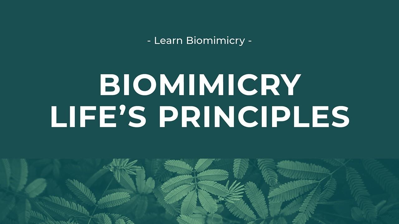 biomimicry-intro-label